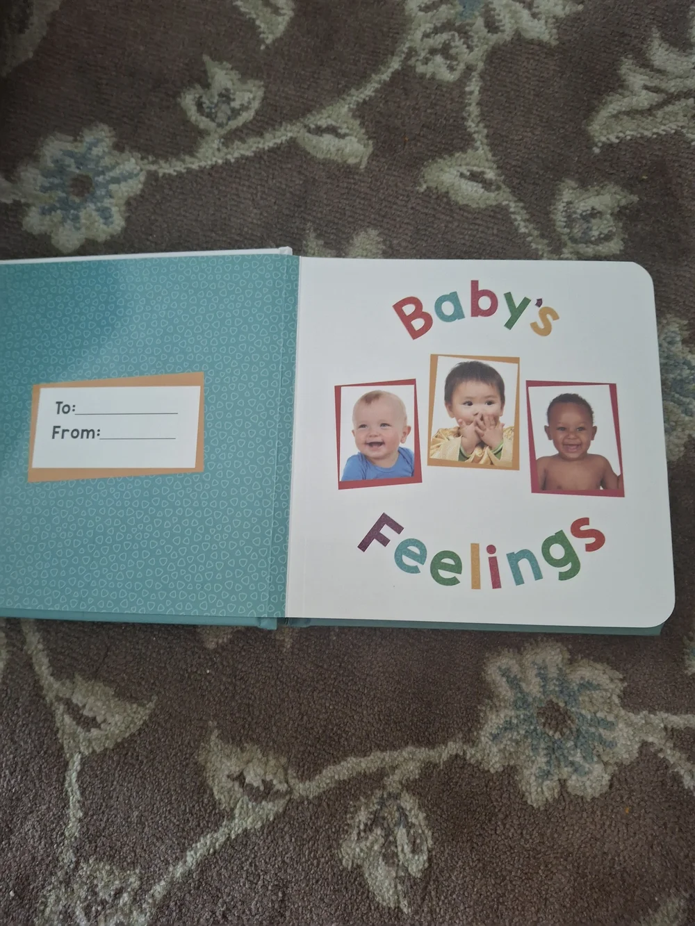 Baby's Feelings: A First Book of Emotions - Teal & White
